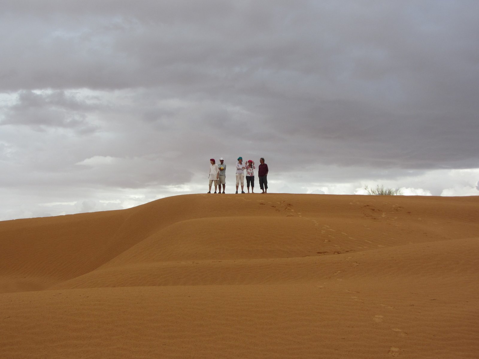 Sahara Landschaft