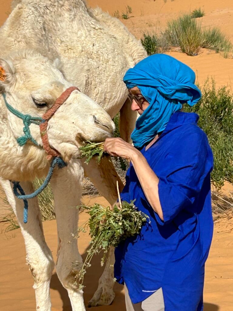 Eine neunköpfige Reisegruppe von saharawalk.ch sitzt gemeinsam auf einer Düne in der tunesischen Sahara.